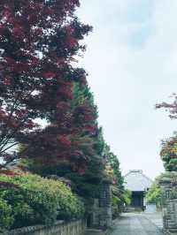 【日暮里 谷中霊園から谷中銀座 谷根千 日暮らしの里散歩】