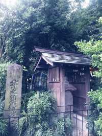 【大人な井の頭公園　東京　吉祥寺　三鷹　井の頭池アラウンドウォーキング】