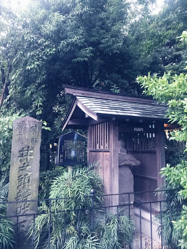 【大人な井の頭公園　東京　吉祥寺　三鷹　井の頭池アラウンドウォーキング】