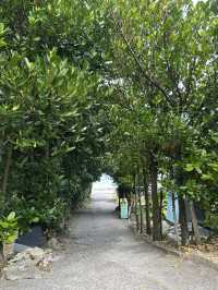 Peaceful Escape in Northern Okinawa - Bise Village & Emerald Beach