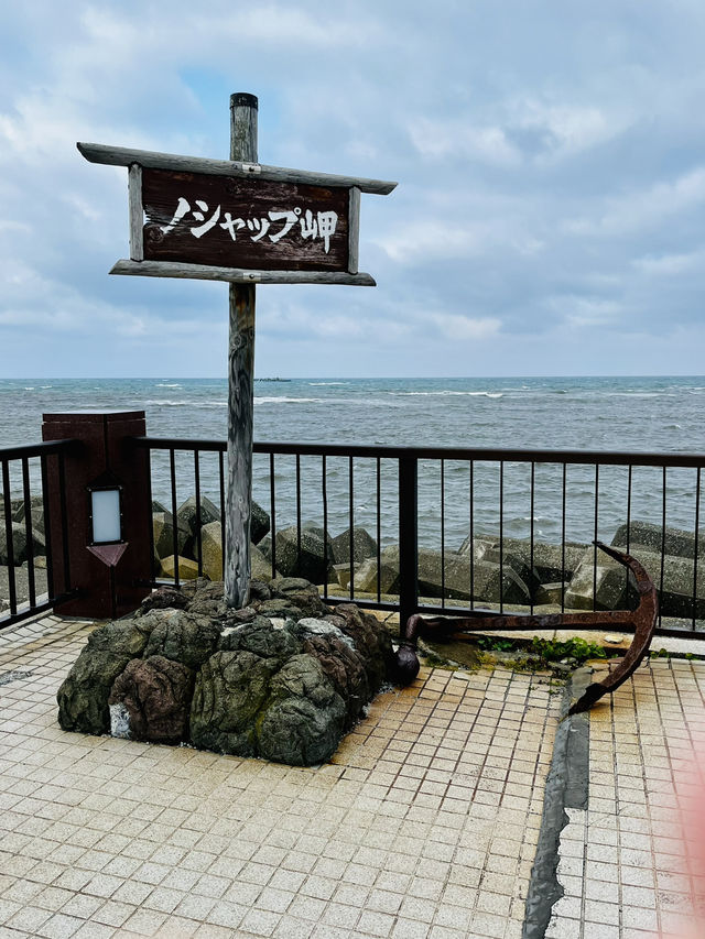 정말 당일치기 하고 가게? 왓카나이에 볼 게 이렇게 많은데
