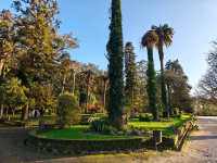 Leafy Stroll at Parque da Alameda