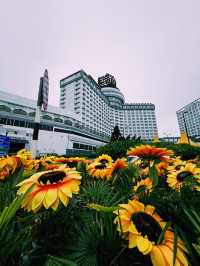 Glamour in the Highlands: Genting Grand’s Elegant Welcome