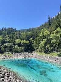 九寨溝：人間瑤池的夢幻仙境