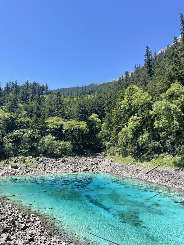 九寨溝：人間瑤池的夢幻仙境