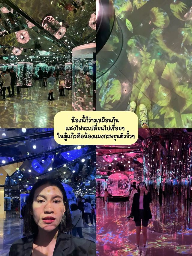 พิพิธภัณฑ์สัตว์น้ำเอ็กซ์พาร์ก Xpark (Xpark Aquariu