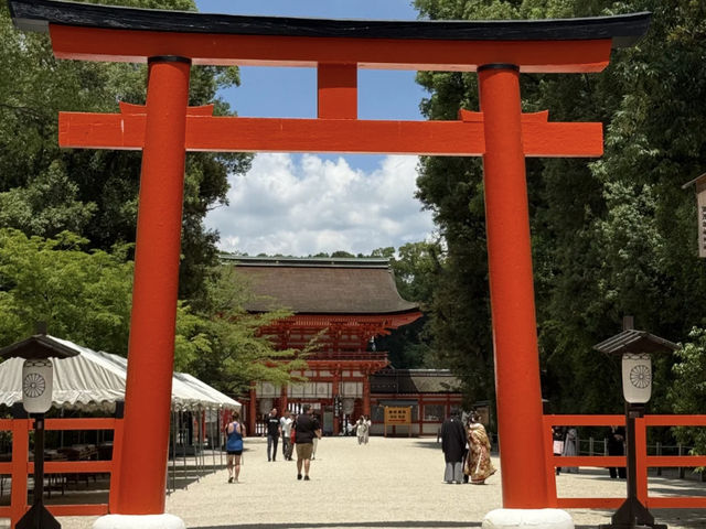 Shimogamo Shrine, Kyoto: An Understated Gem Worth an Early Morning Visit! ⛩️🌿