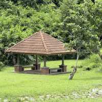 Nature lovers don’t miss
