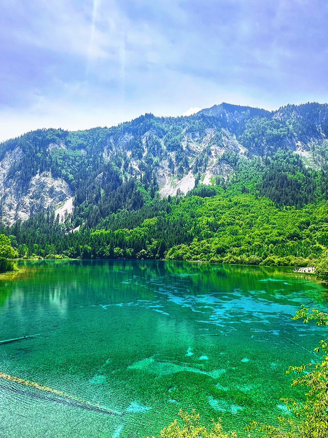🌿✨ Discover the Enchanting Beauty of Jiuzhaigou Valley ✨🌿