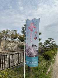 Osaka Castle – เดินชมซากุระ กินของอร่อย ถ่ายรูปปัง