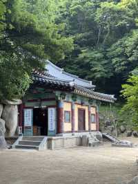 여름 경주 여행코스🌿