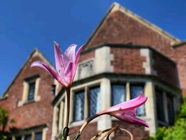 The garden is not in full bloom yet but it’s starting to get pretty with spring flowers