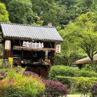รีวิว “เขาชิงเฉิง” (Qingchengshan) 