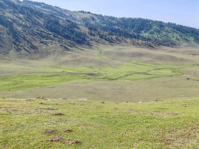 Kanas Journey: Scenery Along the Way