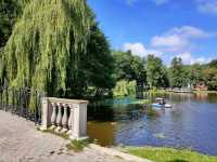 Forest Feels & Cat Surprises at Zelenogradsk City Park