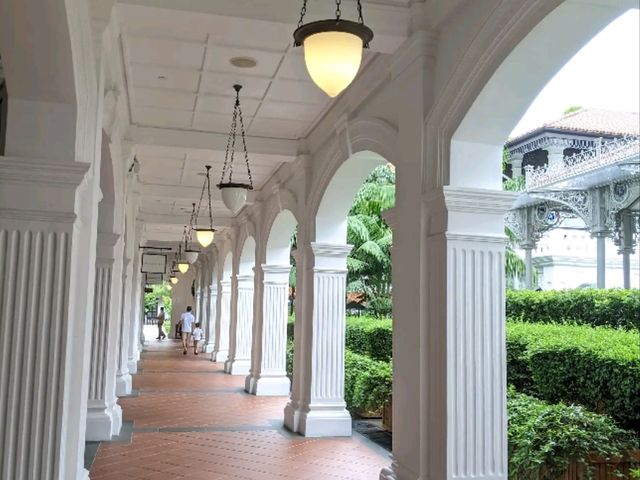 Step Into Timeless Elegance – My Unforgettable Stay at Raffles Singapore
