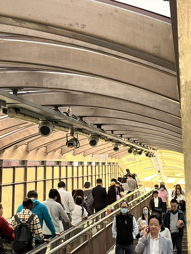 대문자J스러운 HK TRIP👌🏻