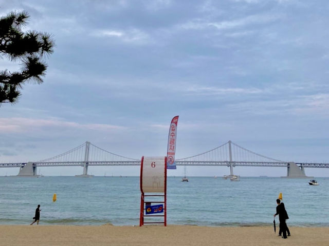 광안리 vs 기장 바다, 어디가 더 좋을까? 🤔🌊 