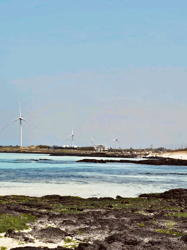 A Photographer's Paradise for Coastal Landscapes