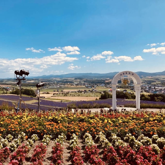 Hinode Lavender Garden: A Solo Traveler’s Purple Paradise in Hokkaido"** 🪻🏔️   
