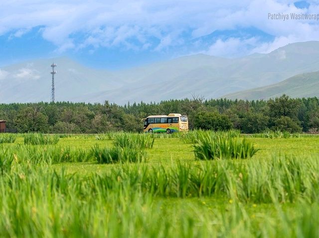 Nalati Grassland Is Straight Up Gorgeous