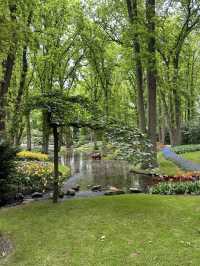 🌷 Keukenhof… เหมือนหลุดเข้าไปอยู่ในเทพนิยายดอกไม้