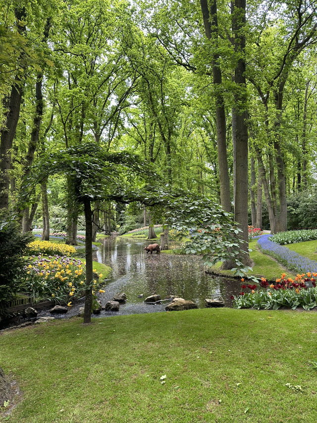 🌷 Keukenhof… เหมือนหลุดเข้าไปอยู่ในเทพนิยายดอกไม้