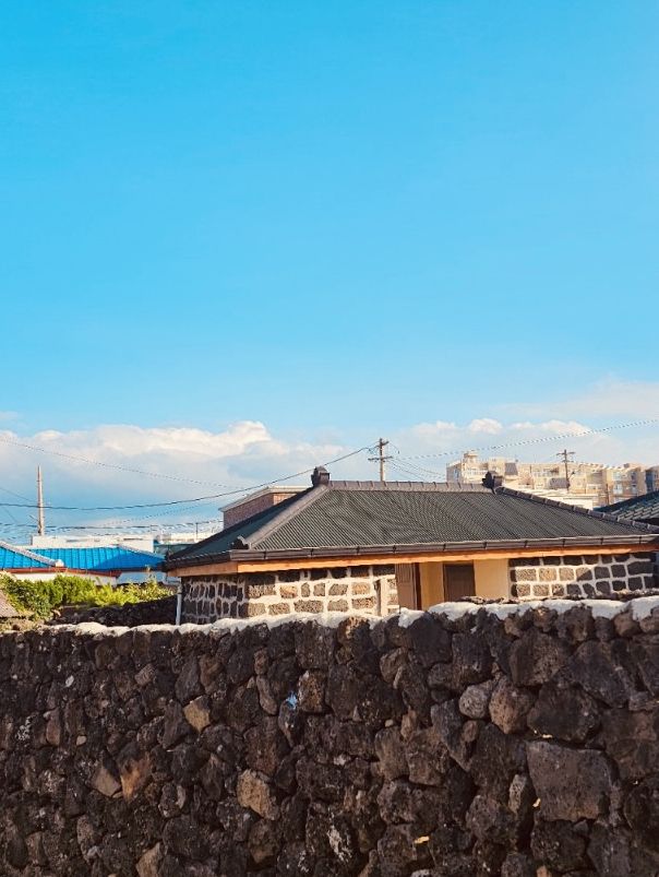 A Serene Coastal Drive with Panoramic Ocean Views