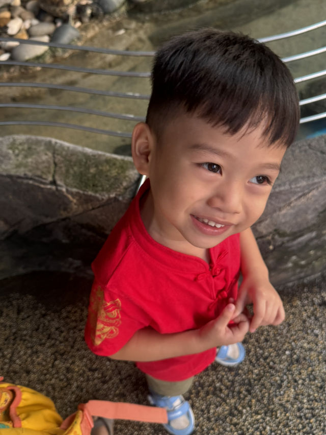 🌊 [Trip Moment] Batu Maung Aquarium: A Mini Marine Adventure in Penang
