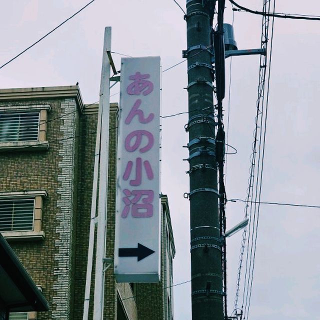 시즈오카 & 요코하마, 자연과 도시의 완벽한 조합 여행기