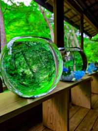 色の魔法に包まれて──光と水が奏でる、嵐山の異空間🎨✨