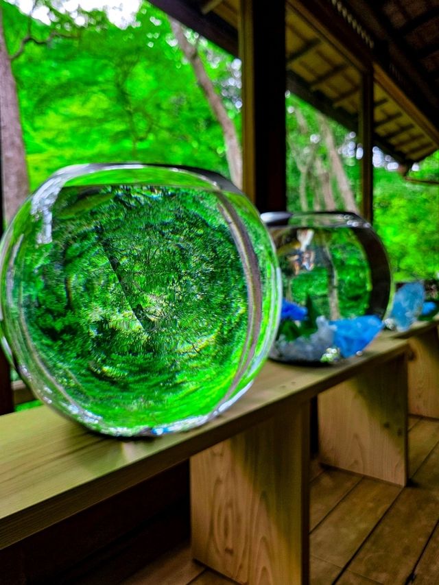 色の魔法に包まれて──光と水が奏でる、嵐山の異空間🎨✨