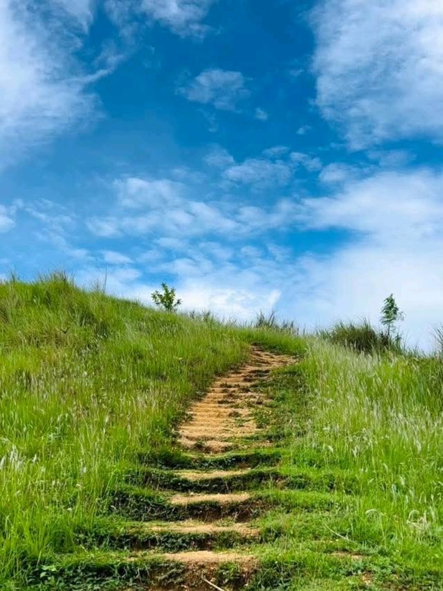 Waves of Green – Quitinday Hills, Camalig, Albay