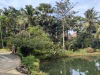 Island Escape to Koh Chang: Nature, Beaches & Thai Charm