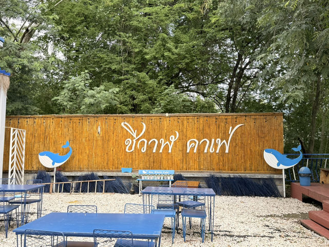 ชีวาฬ คาเฟ่ มหาสารคาม 🦋📍