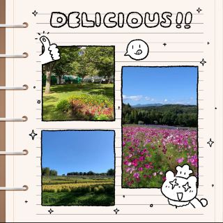 Sanliu Shanggu Park 🌸Dreamland