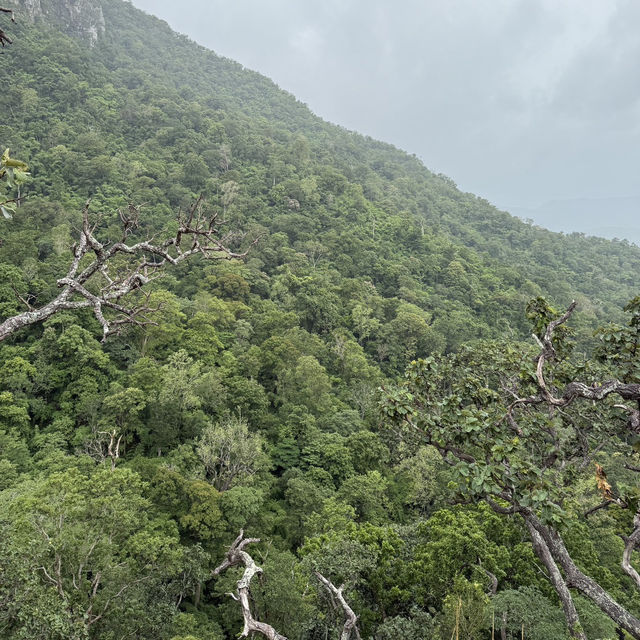 🌿 รีวิวดอยหลวงตาก | เดินป่าชันแต่วิวแจ่มมาก! 🏔️