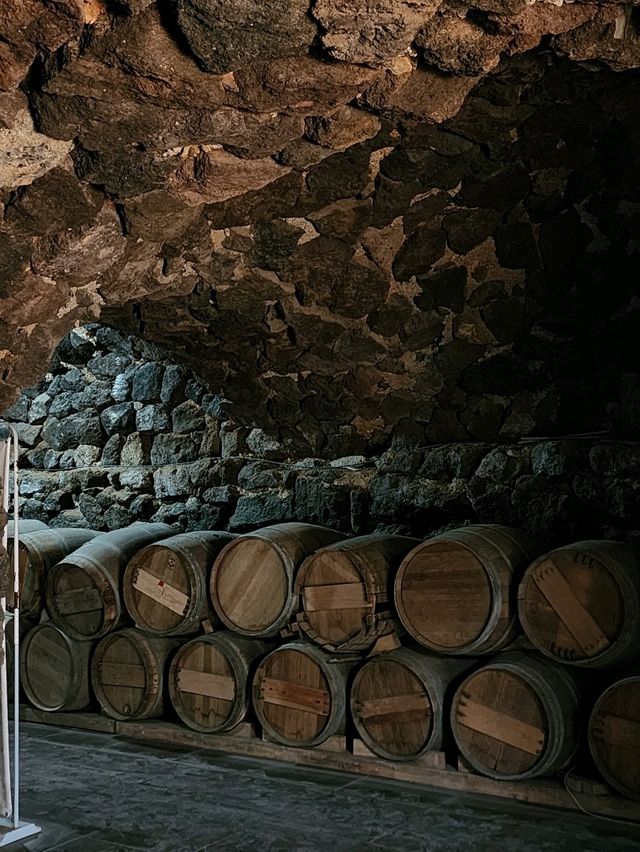 Winery in A castle Winery in A castle