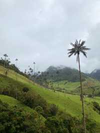 Horseback Adventure Through Colombia’s Stunning Cocora Valley
