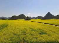 Luoping - Sea of Rapeseed Flowers in Yunnan.