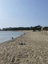 후쿠이 명소 - 도진보 & 미쿠니선셋비치 가는 법 🏖️