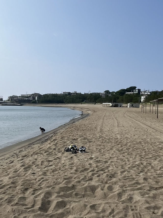 후쿠이 명소 - 도진보 & 미쿠니선셋비치 가는 법 🏖️