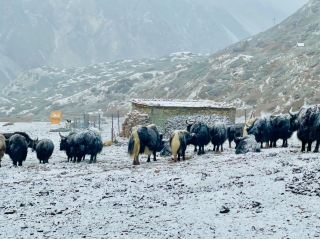 安納布爾納環線徒步是一場難忘的冒險