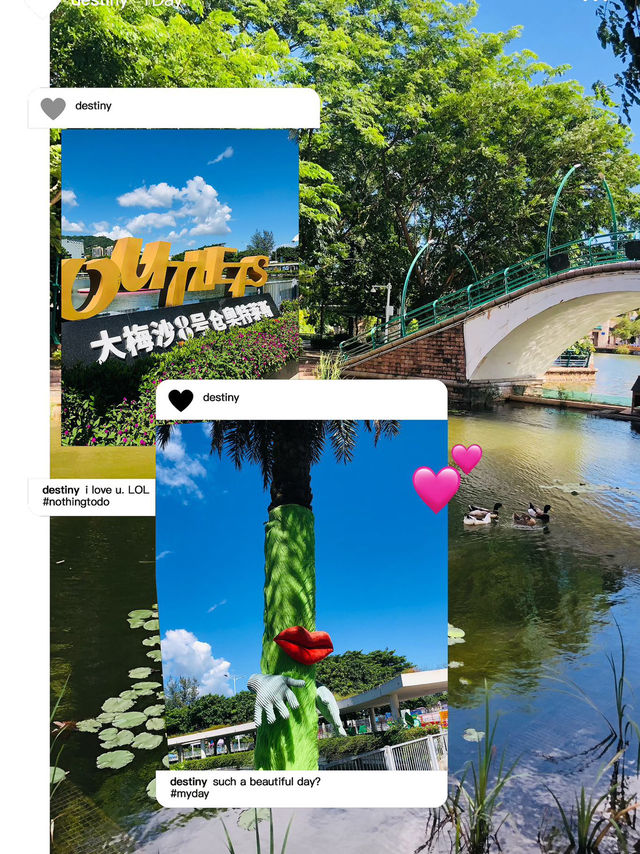 今次係我第一次分享,快啲睇吓 - 深圳大梅沙  今次係我第一次分享,快啲睇吓 - 深圳大梅沙