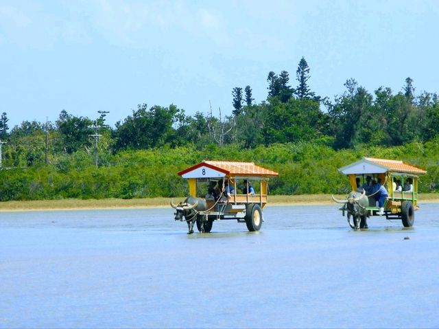 小浜島と西表島で海満喫旅