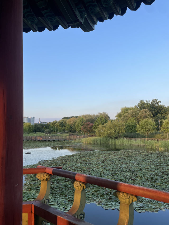 🪷 대전과 천안에서 만나는 자연과 감성 여행 🥨