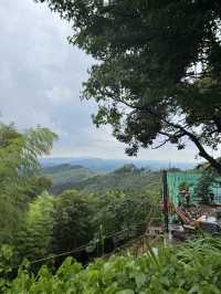 Trekking in beautiful Moganshan mountain 莫干山