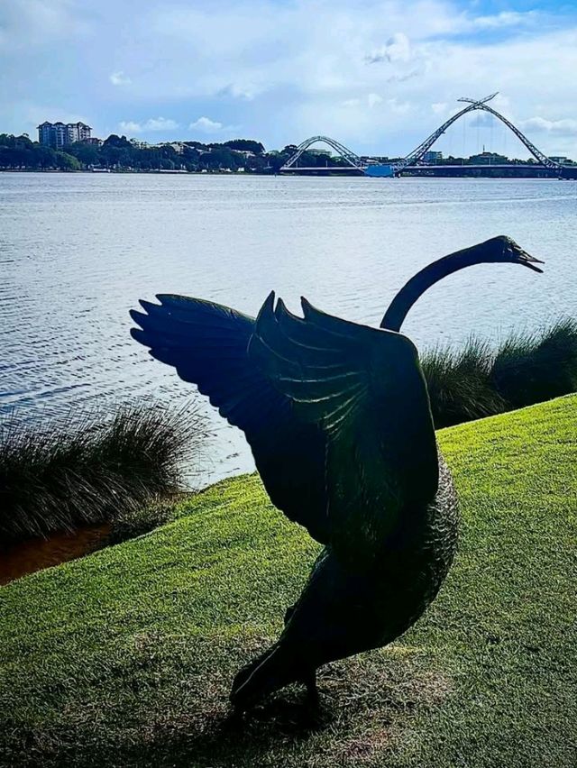 🌊🌅 Scenic Bliss at Swan River Foreshore, Perth! 🏞️✨