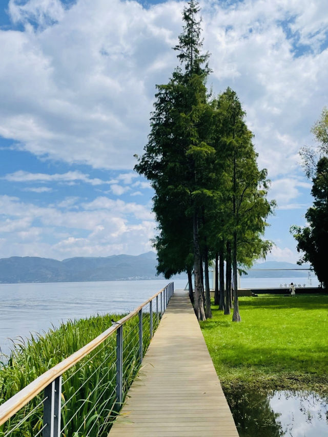 A Cyclist's Paradise