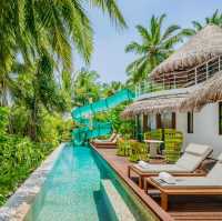 Rebel in Paradise